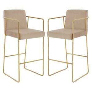 Markeb Mink Velvet Bar Stool With Gold Steel Frame In A Pair